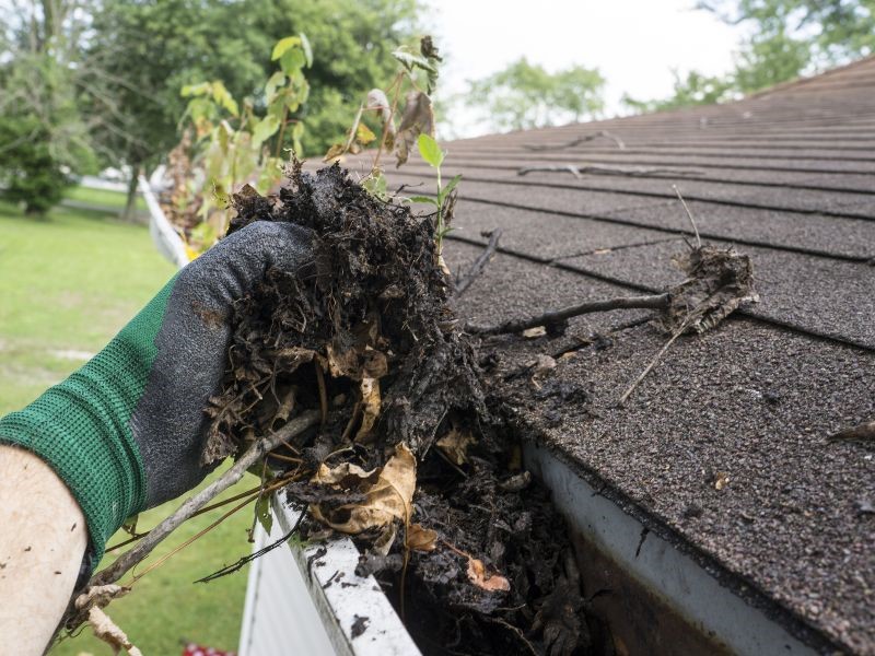 Gutters Repair Auburn